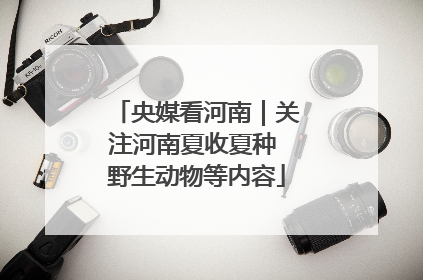 央媒看河南｜关注河南夏收夏种 野生动物等内容